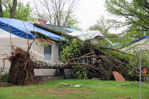 Disaster restoration for water, wind, hail & storm damage in Buford