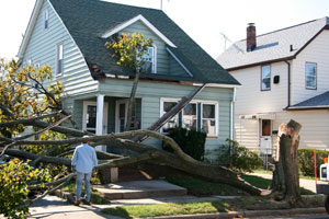 wind and tree damage